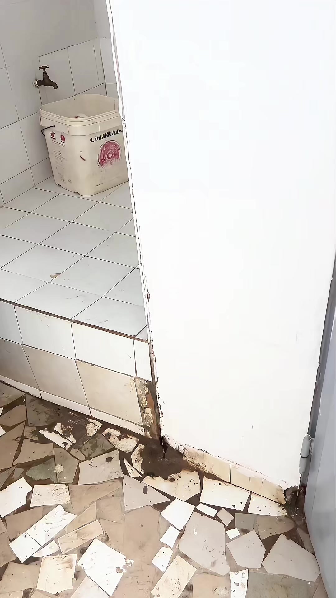 @๐๐ ๐โ๐ ๐๐๐ ๐๐๐๐๐๐๐ค