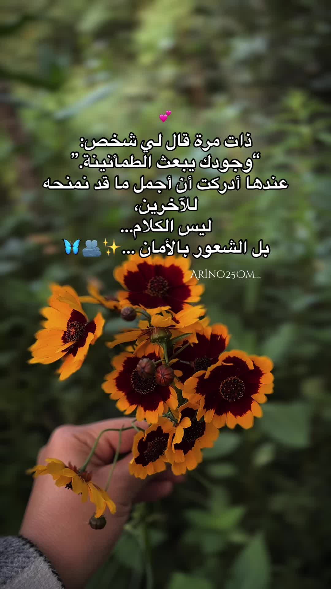 @Arîno25Om