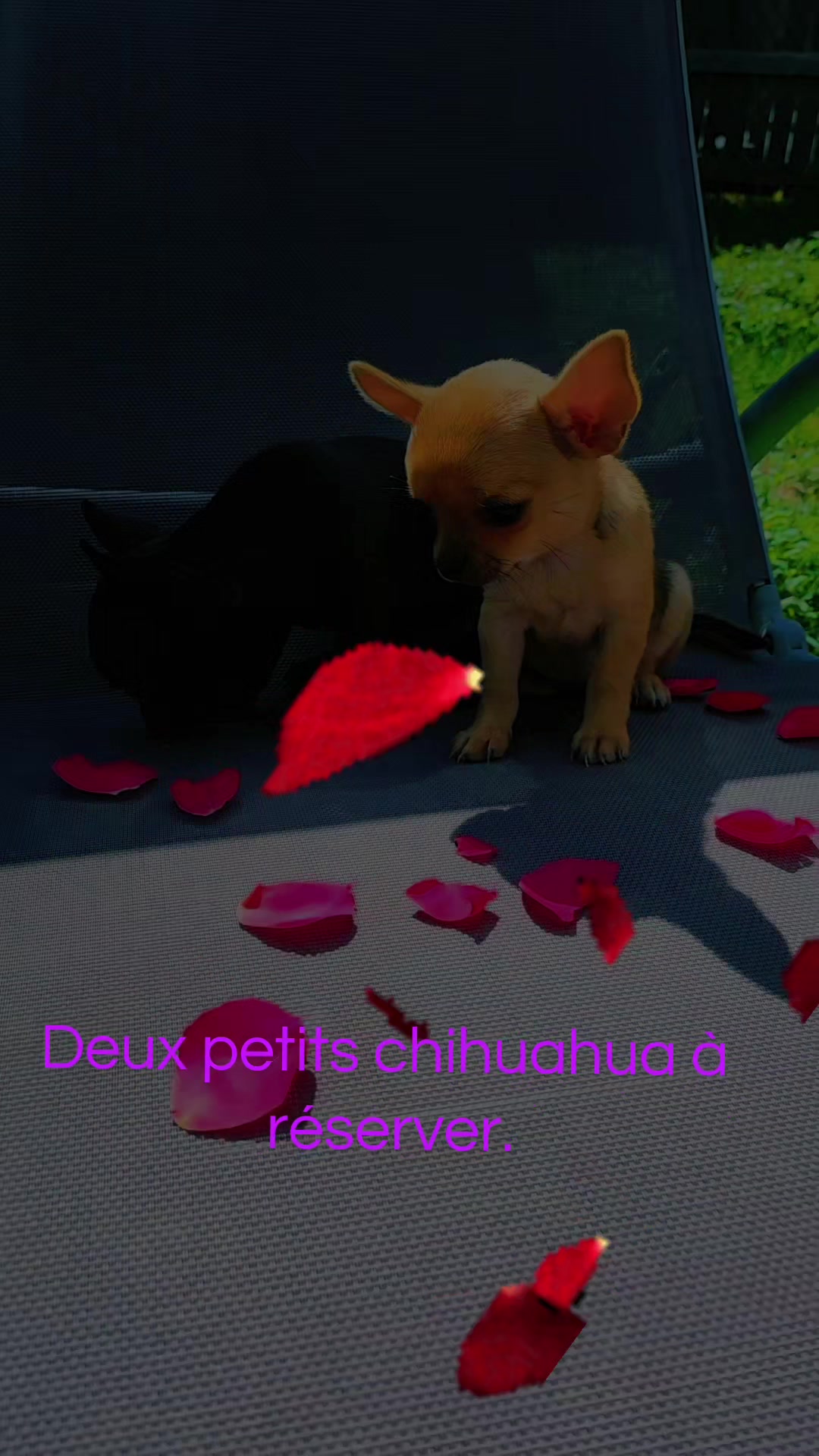 @Johana Anicet Beau Yvon