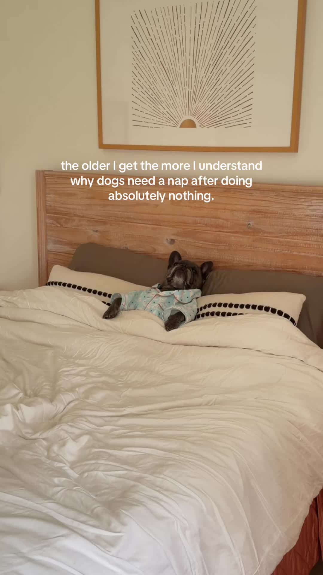 @Winston & Charlie 🐾