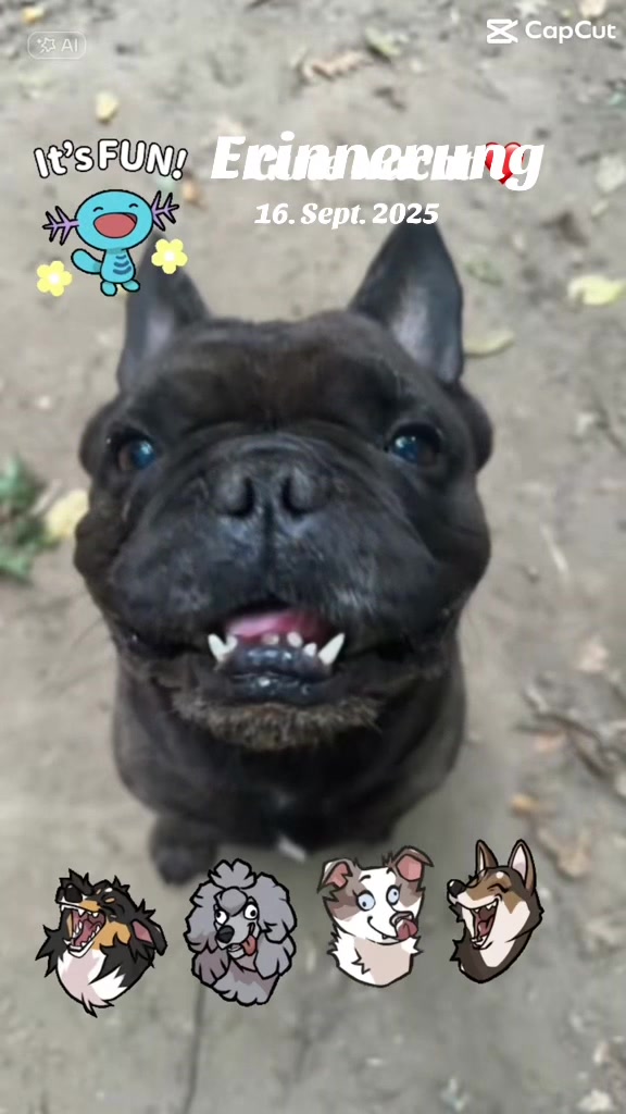 @The_chaos_frenchi