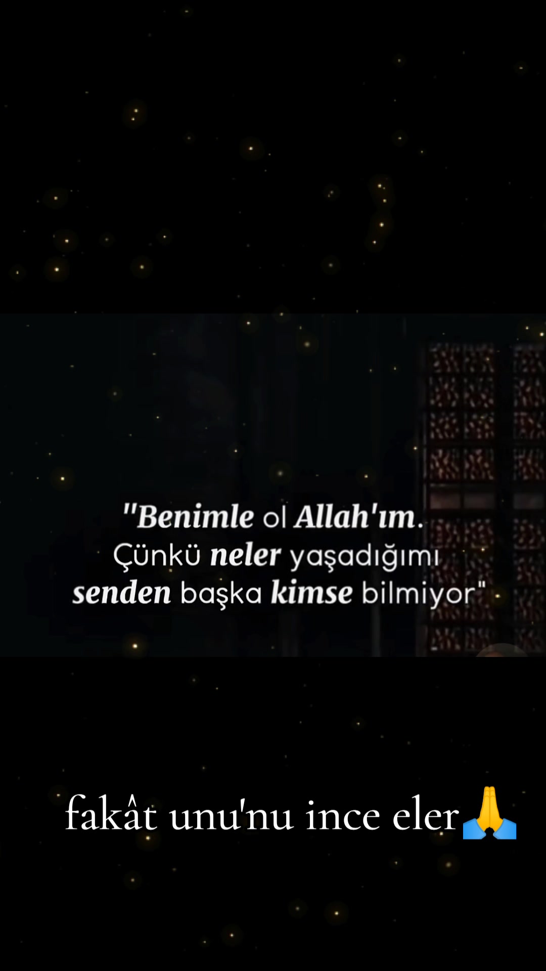 @aslaniçe