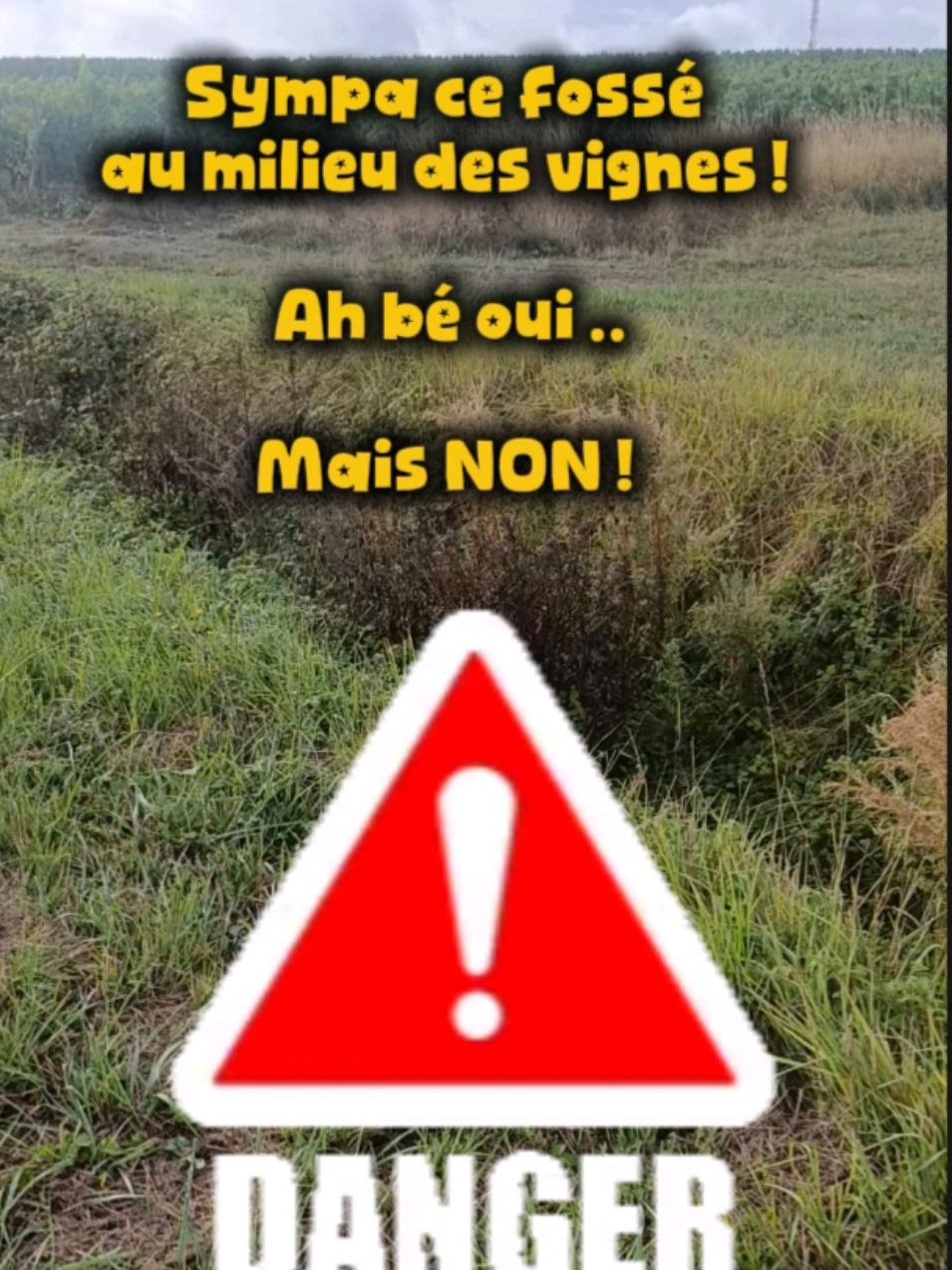 @Médoc Guêpes Frelons Services
