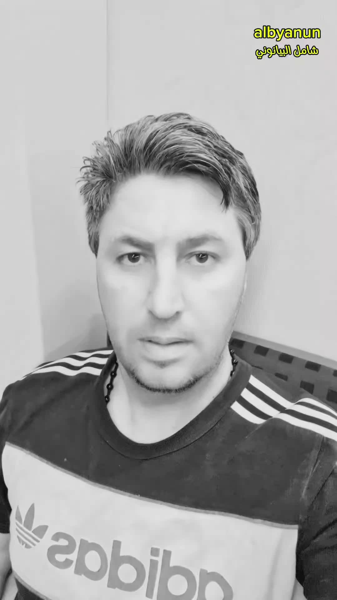@شامل البيانوني