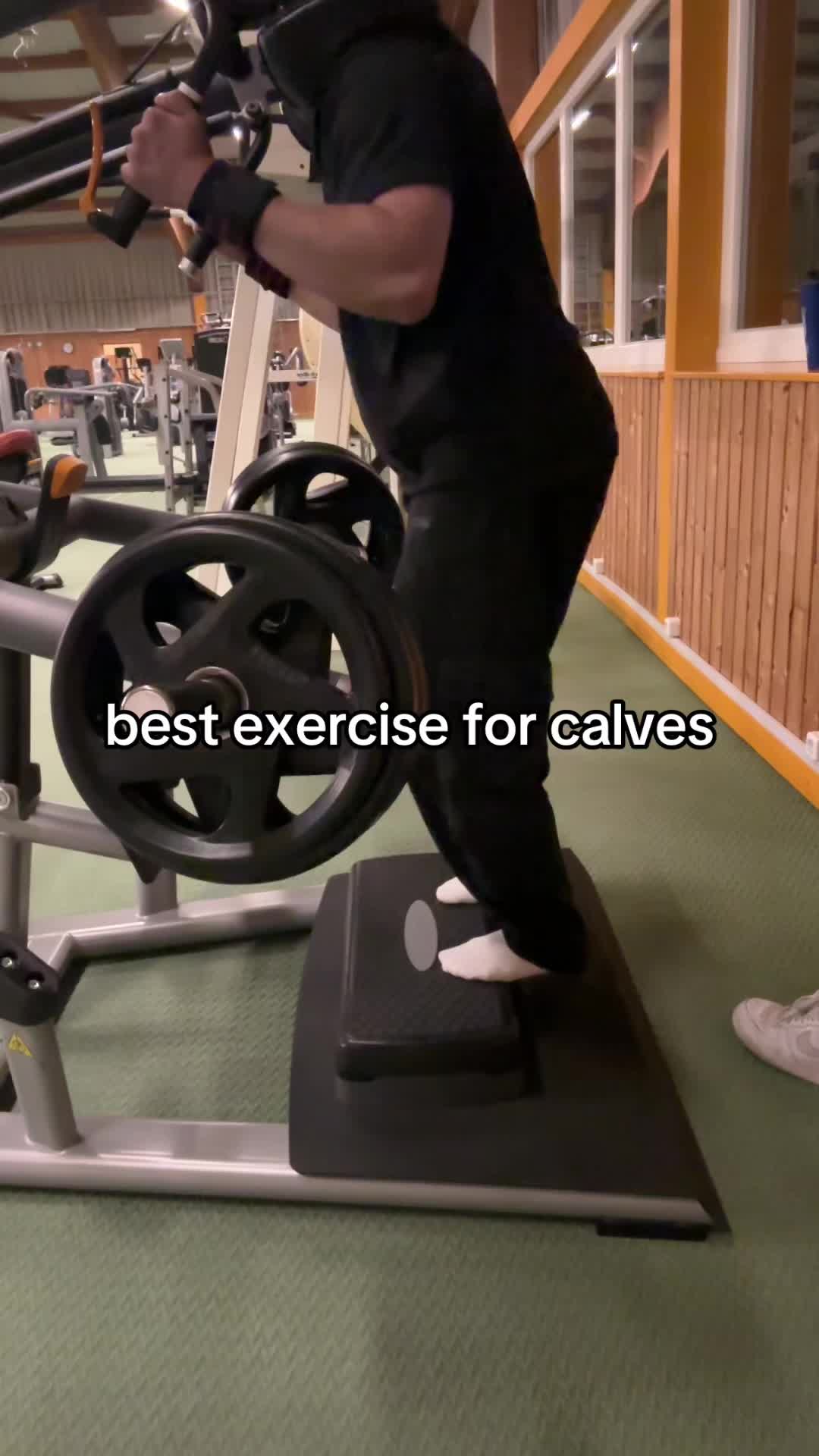 @ThomyGains