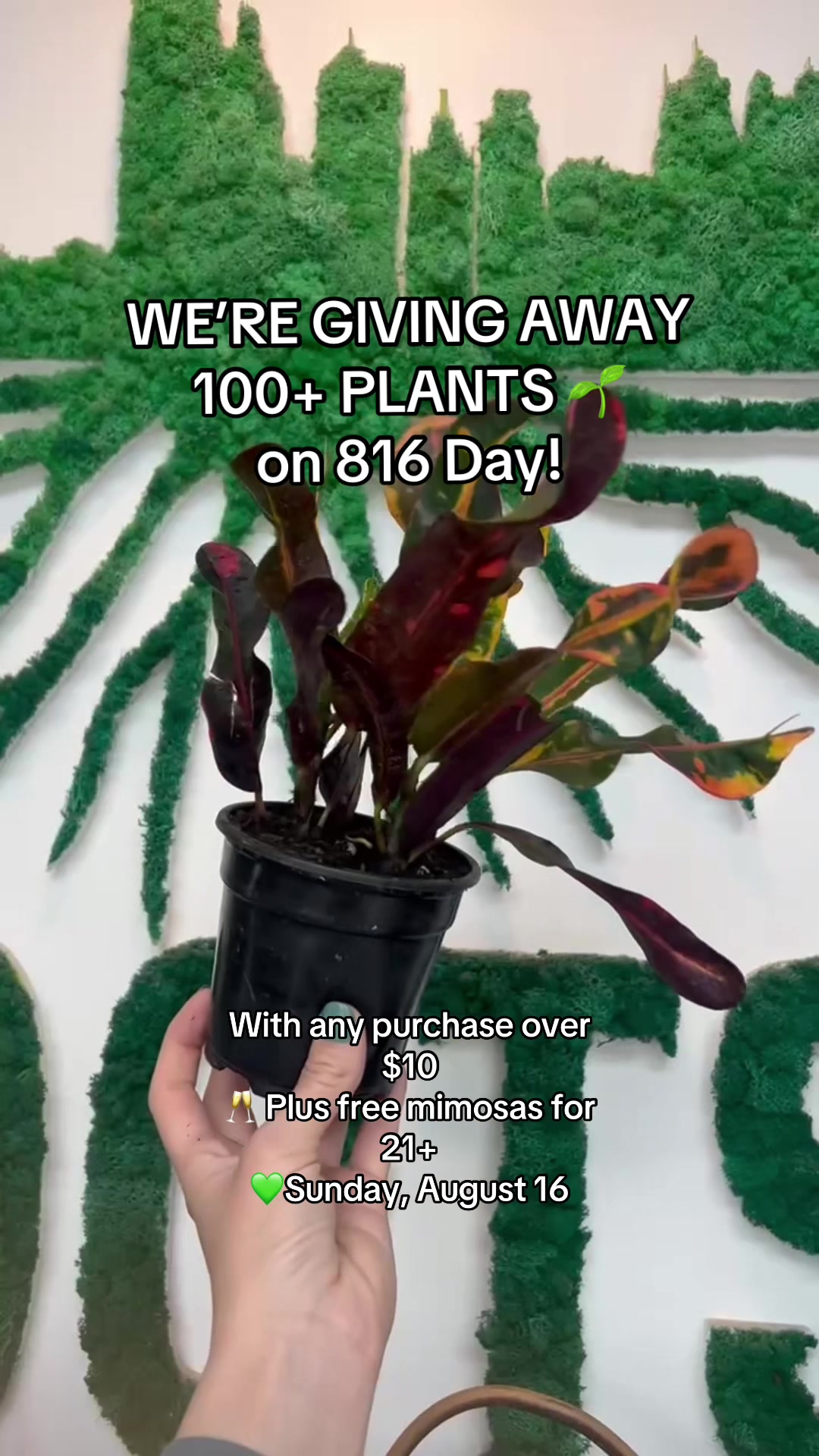 @Rootskc