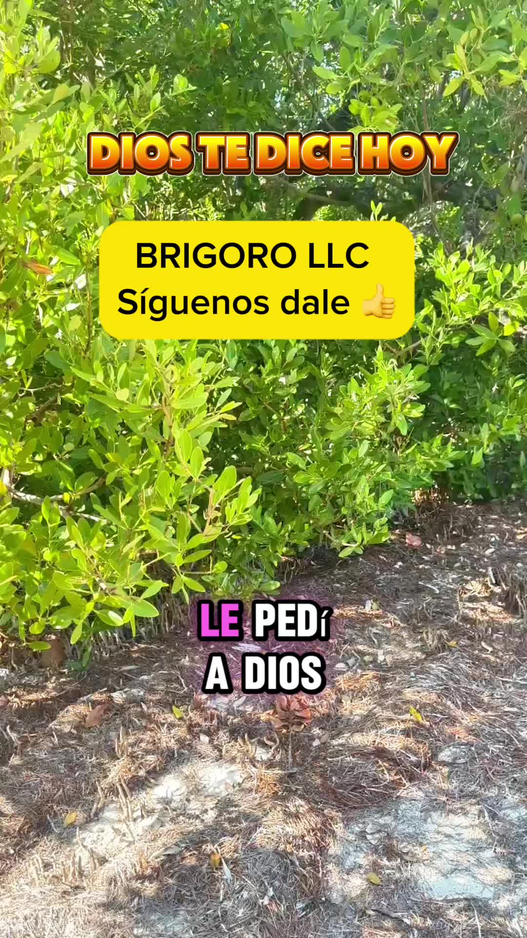 @brigororv