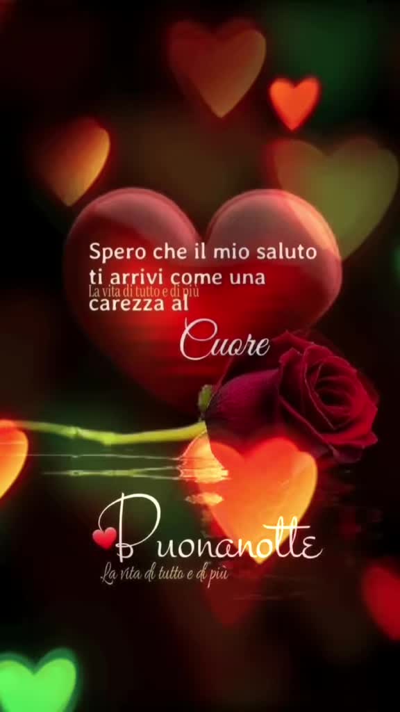 @SofiaSalvatore💖