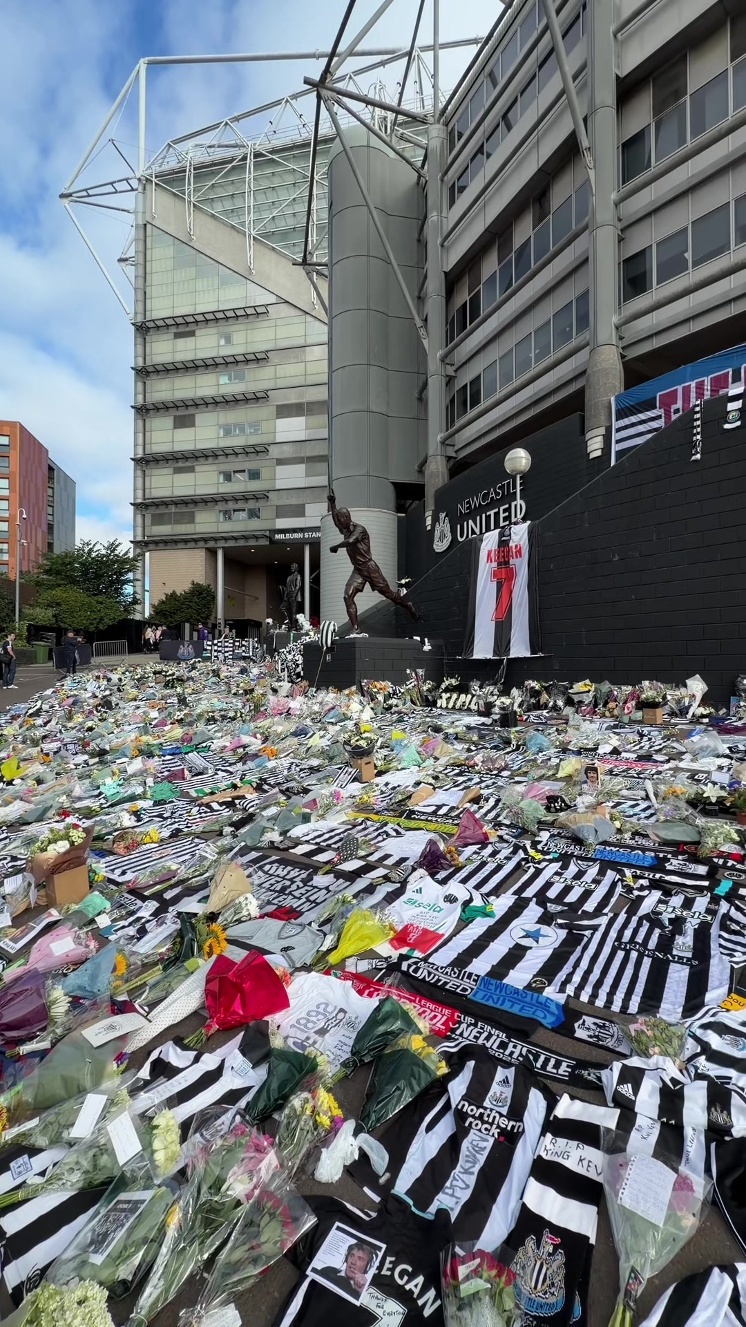 @TheMagpieChannel