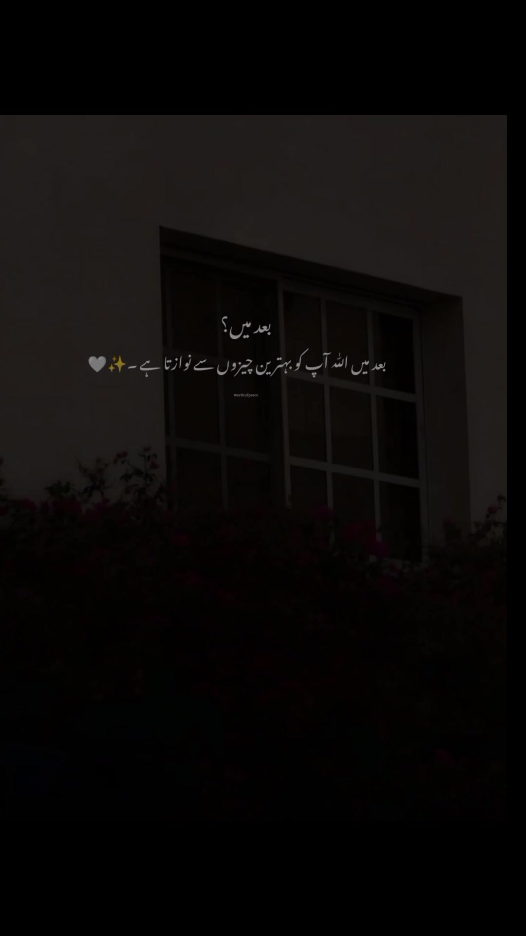 @قلم کی نمی🥀
