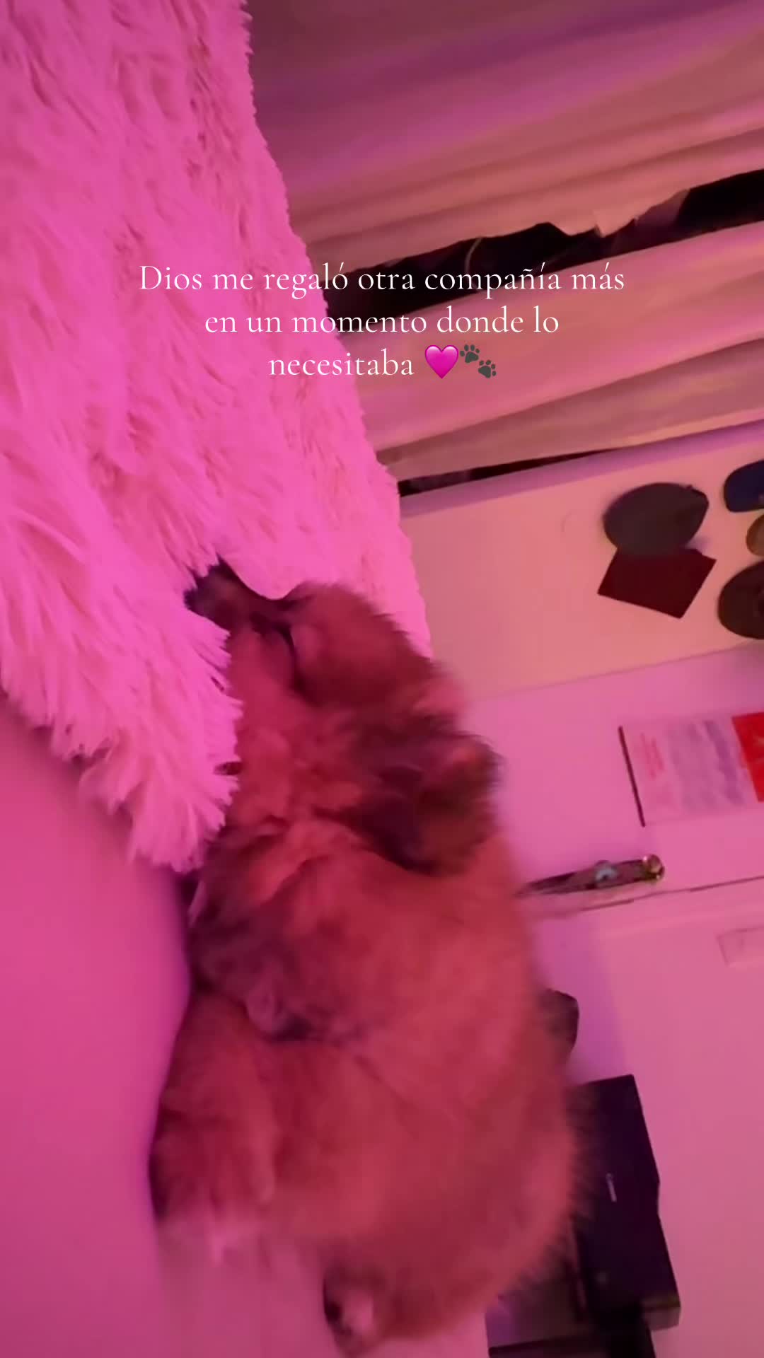 @sara_G