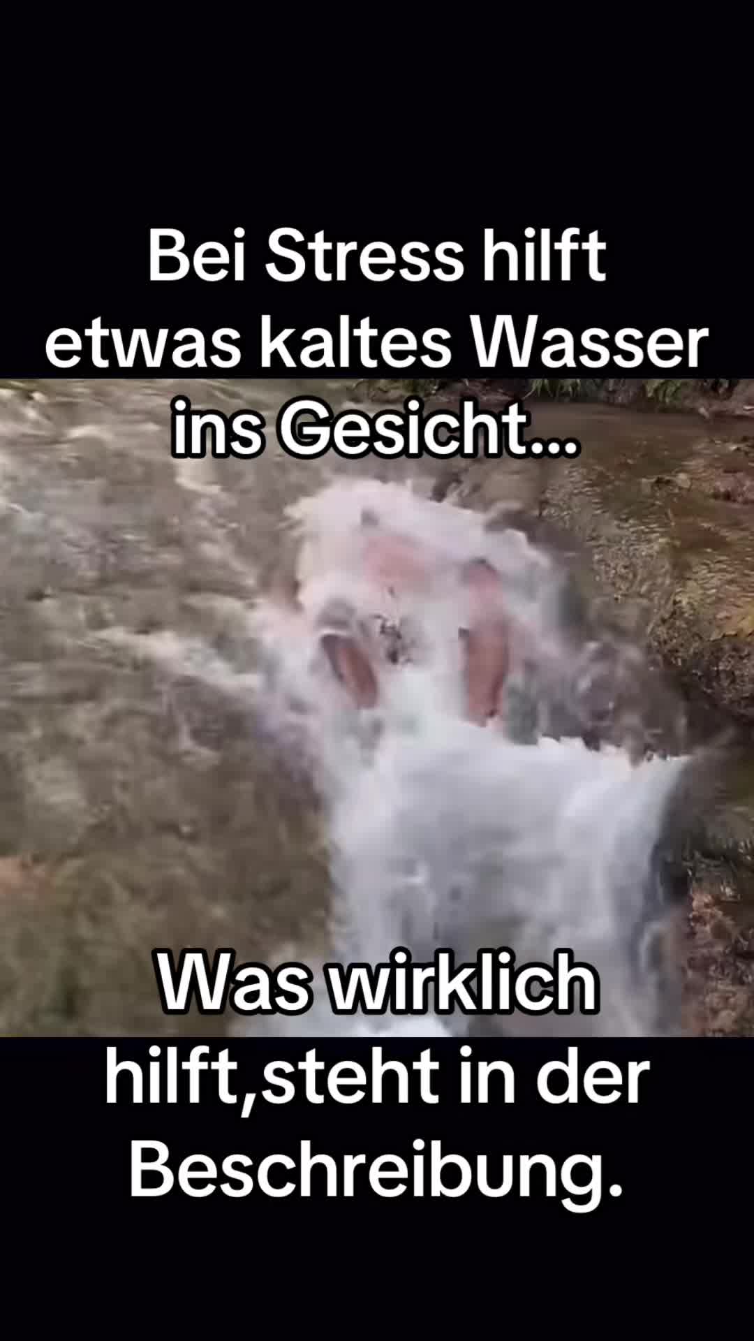@Dr.ulrichgeorgstrauch