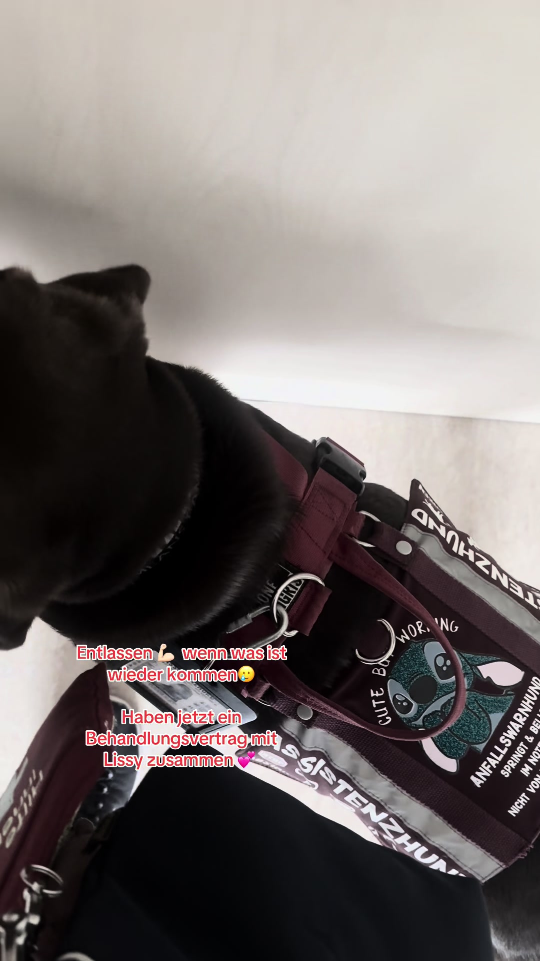 @teamlidialissy