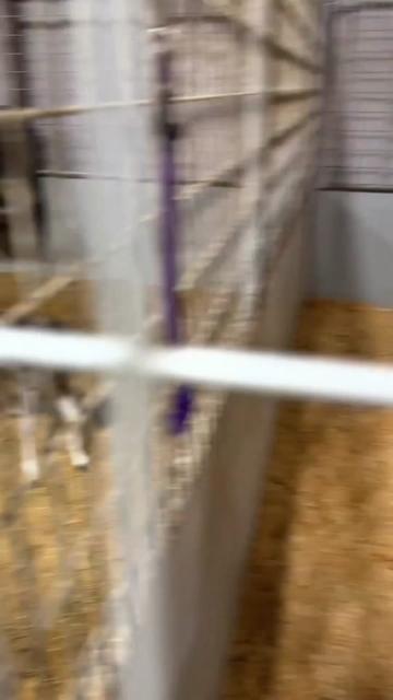 @Dr.Nicole-VetMed
