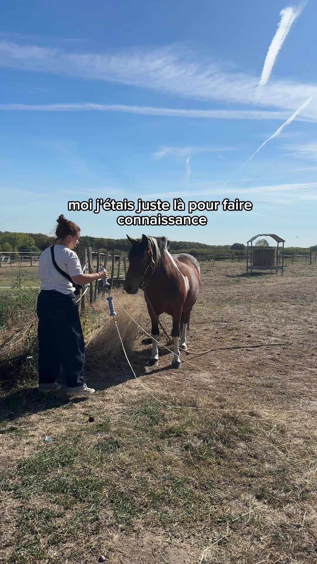 @Seren the pony 🐴
