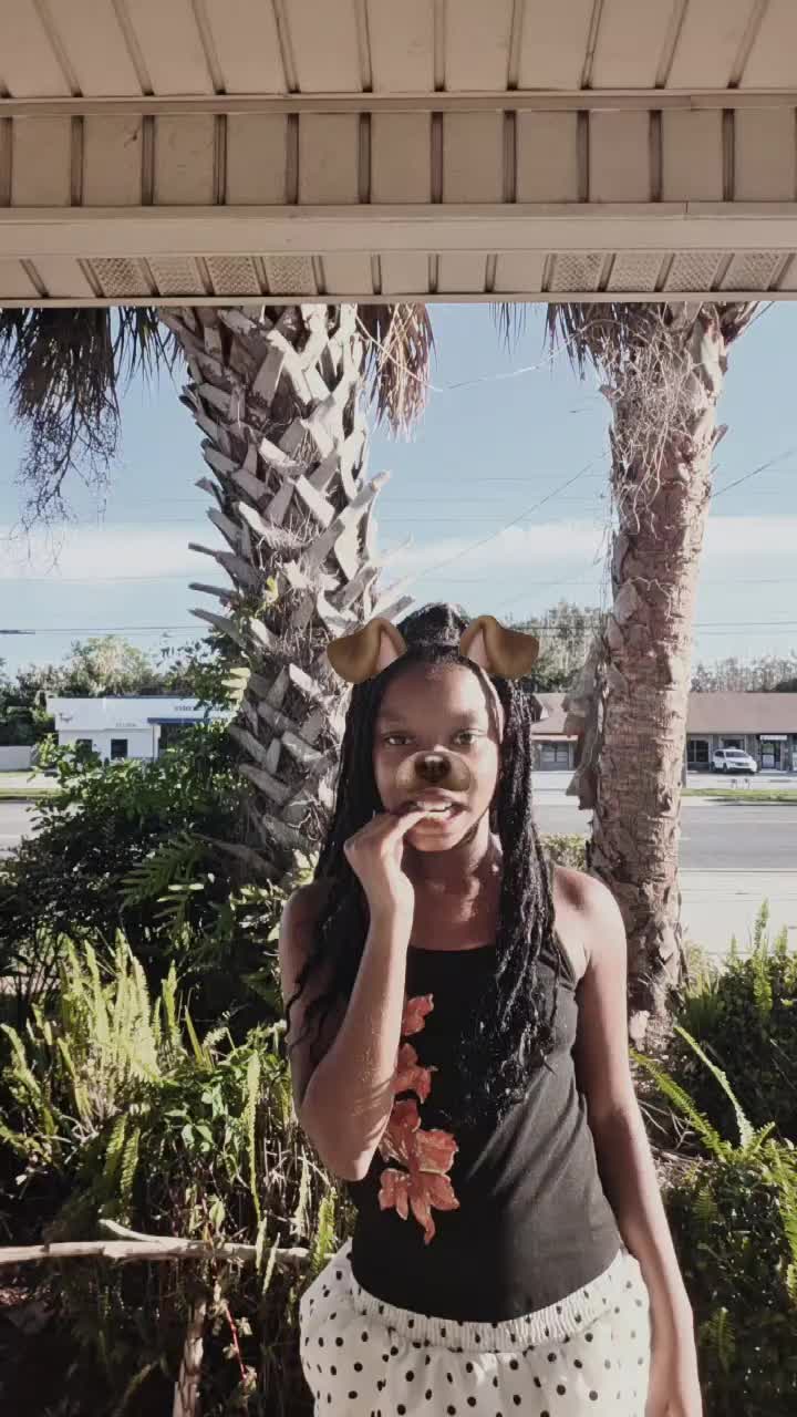 @dcaribeanonweels