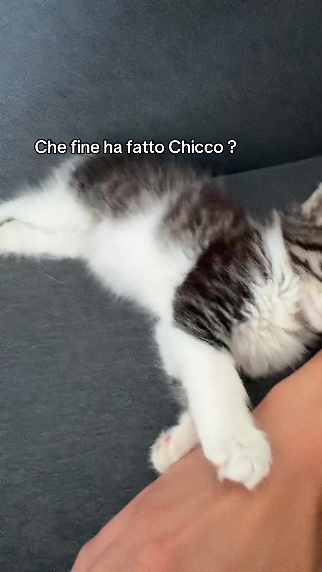 @_mariangela1994_