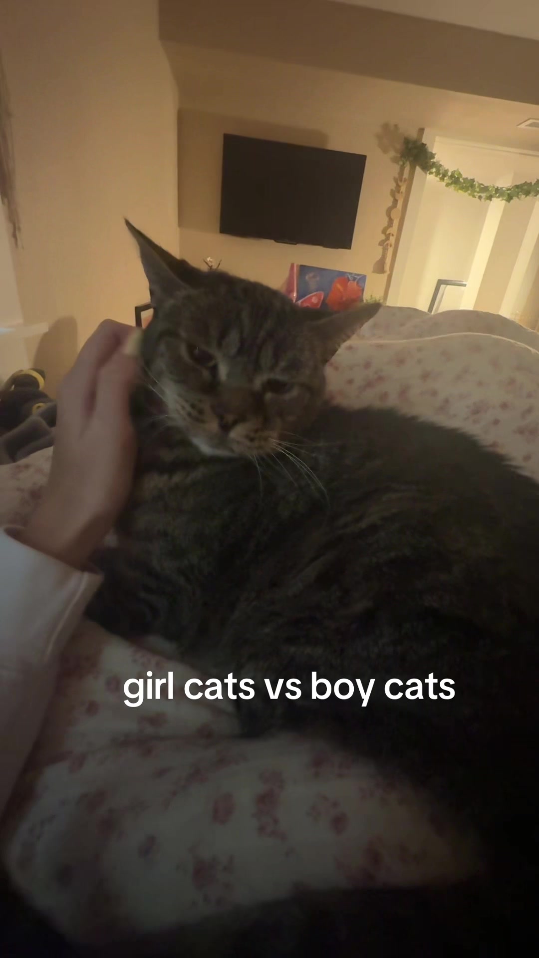 @yurimaster3000