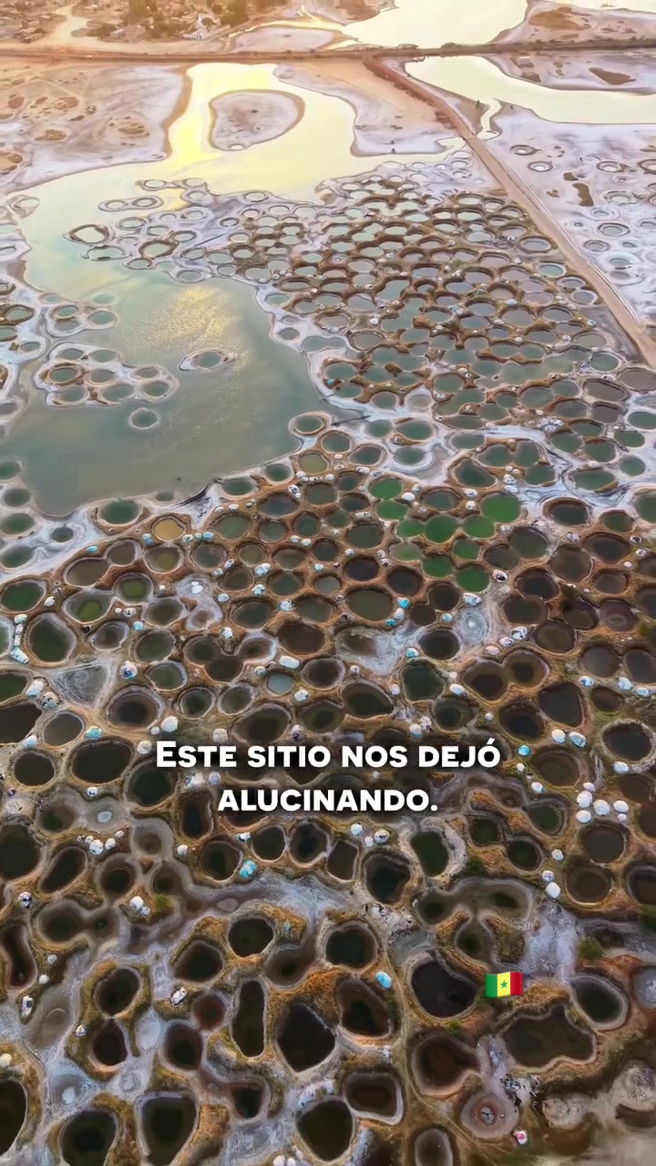 @Sénégal rek