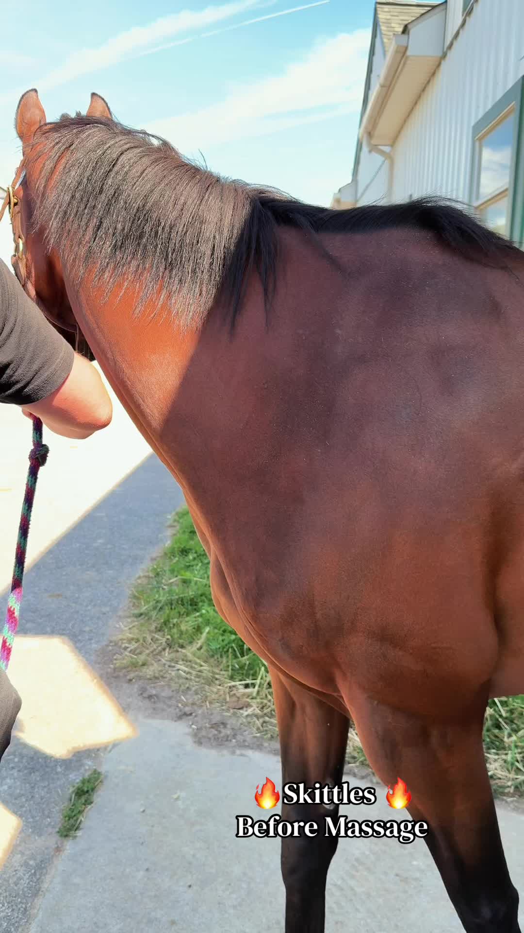 @Danigurl🦮🏇🌅🏳️&zwj;🌈