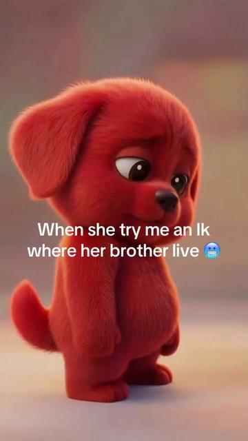 @Zbaby_osama