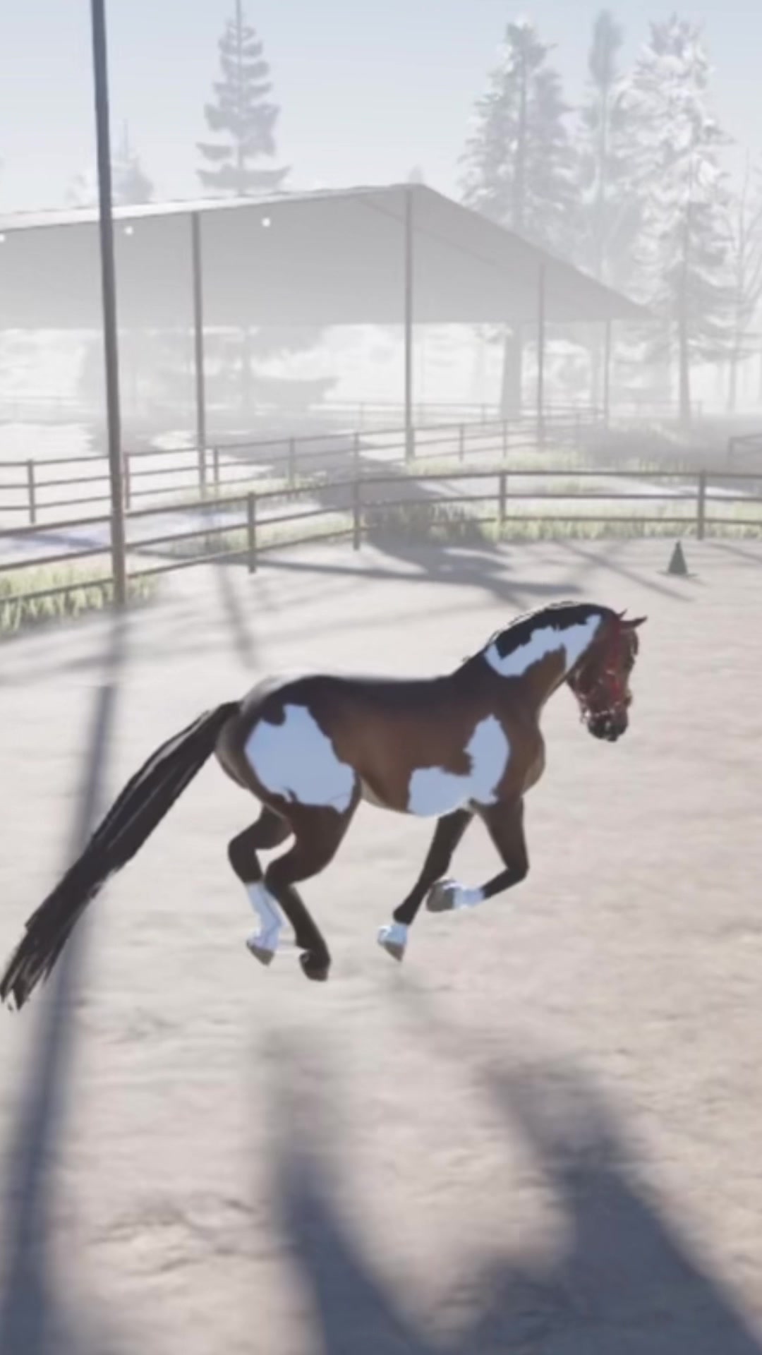 @🔭 Daisyy 🐴