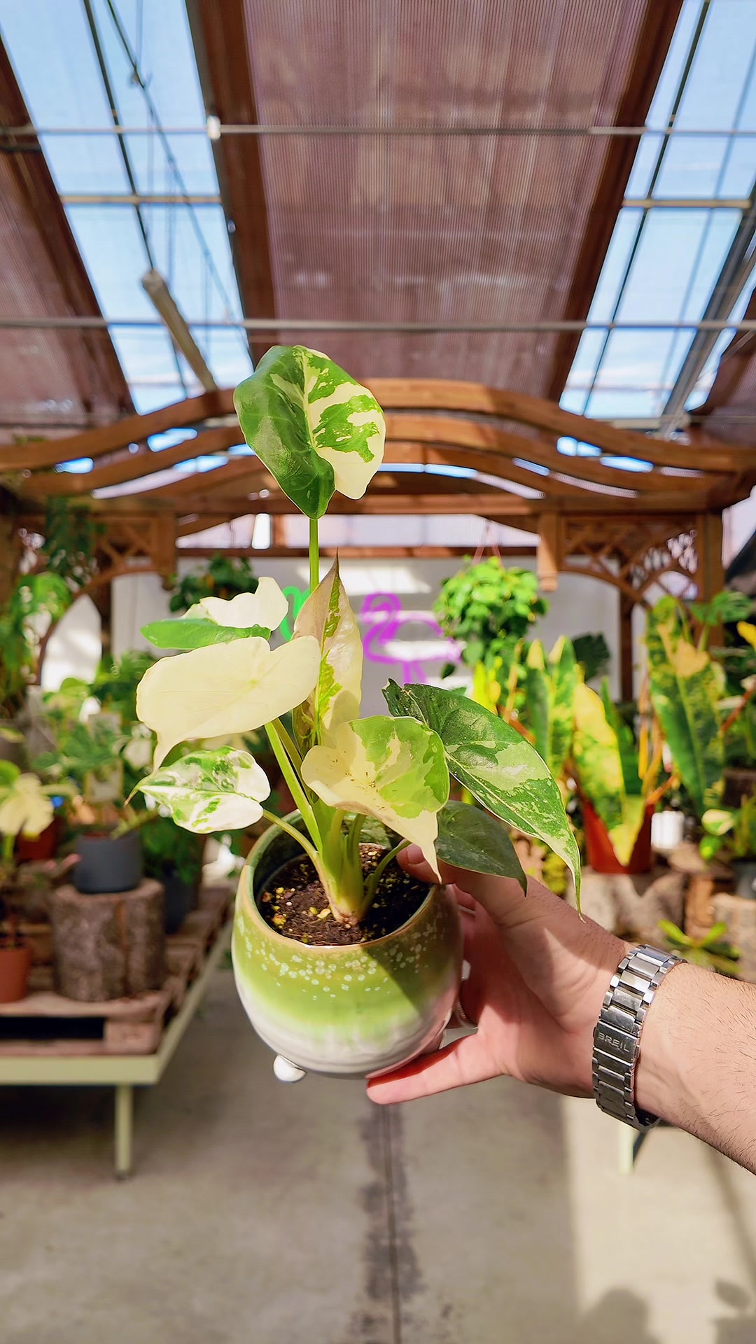 @Garden Center Brioli