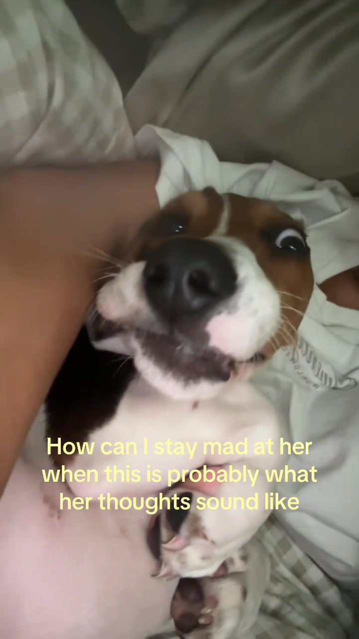 @emma