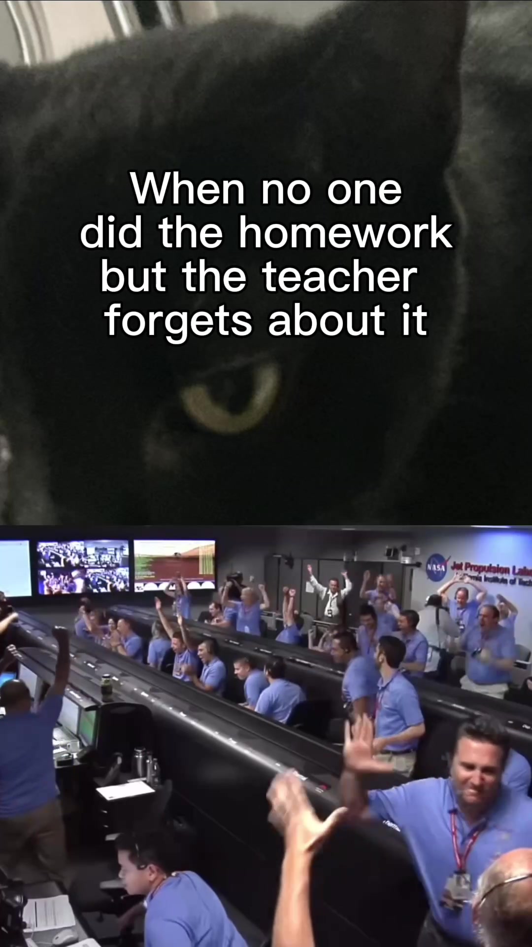 @𝓙𝓪𝓬𝓬𝓬𝓬