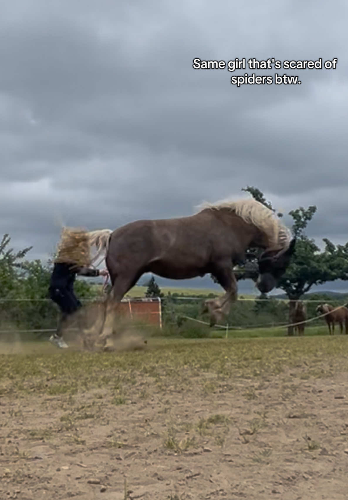 @annalisa.equestrian