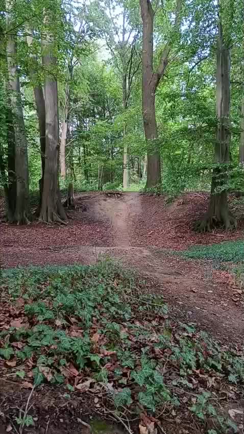 @Justin_SX