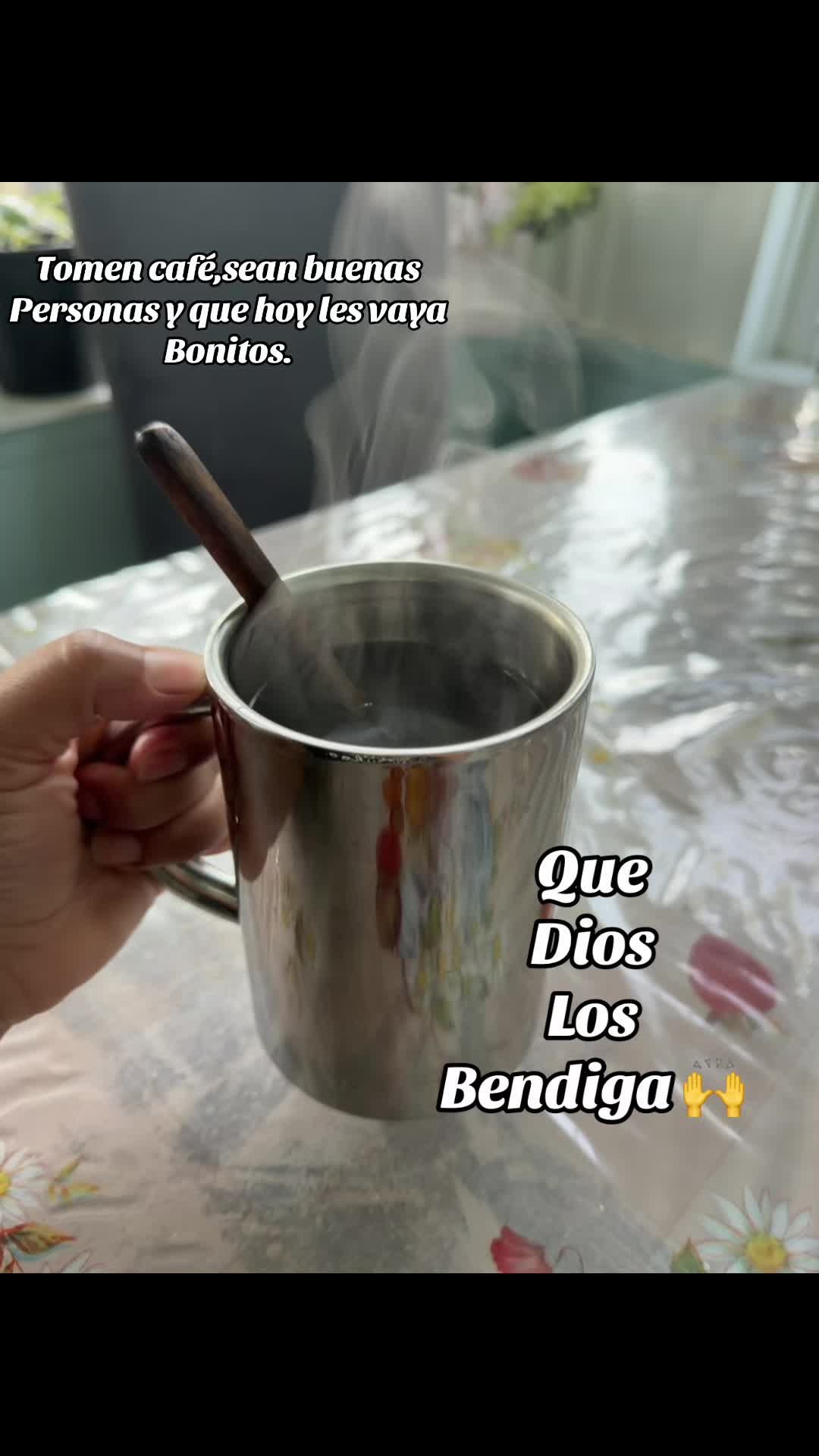 @🧸🇭🇳Colocha🇭🇳Galindo🌺🐬