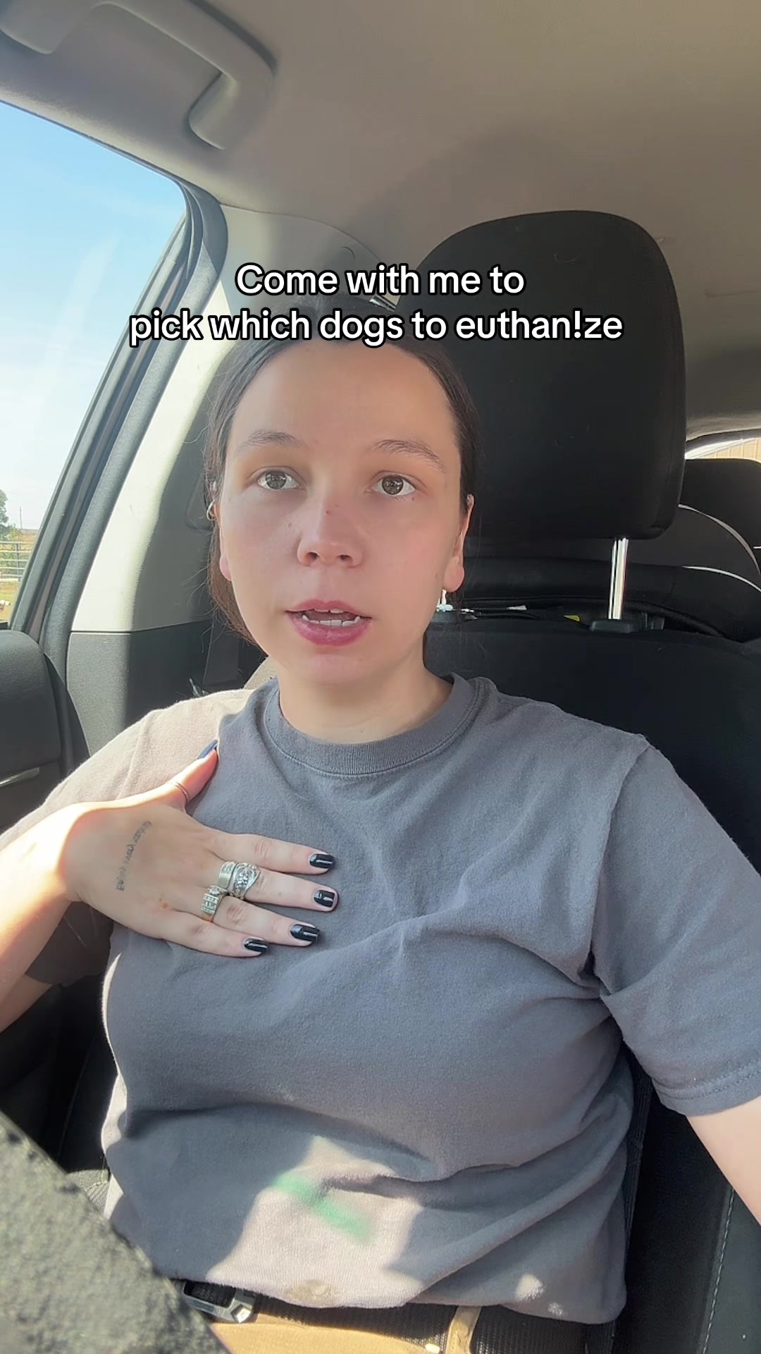 @Kayleigh + Dogs