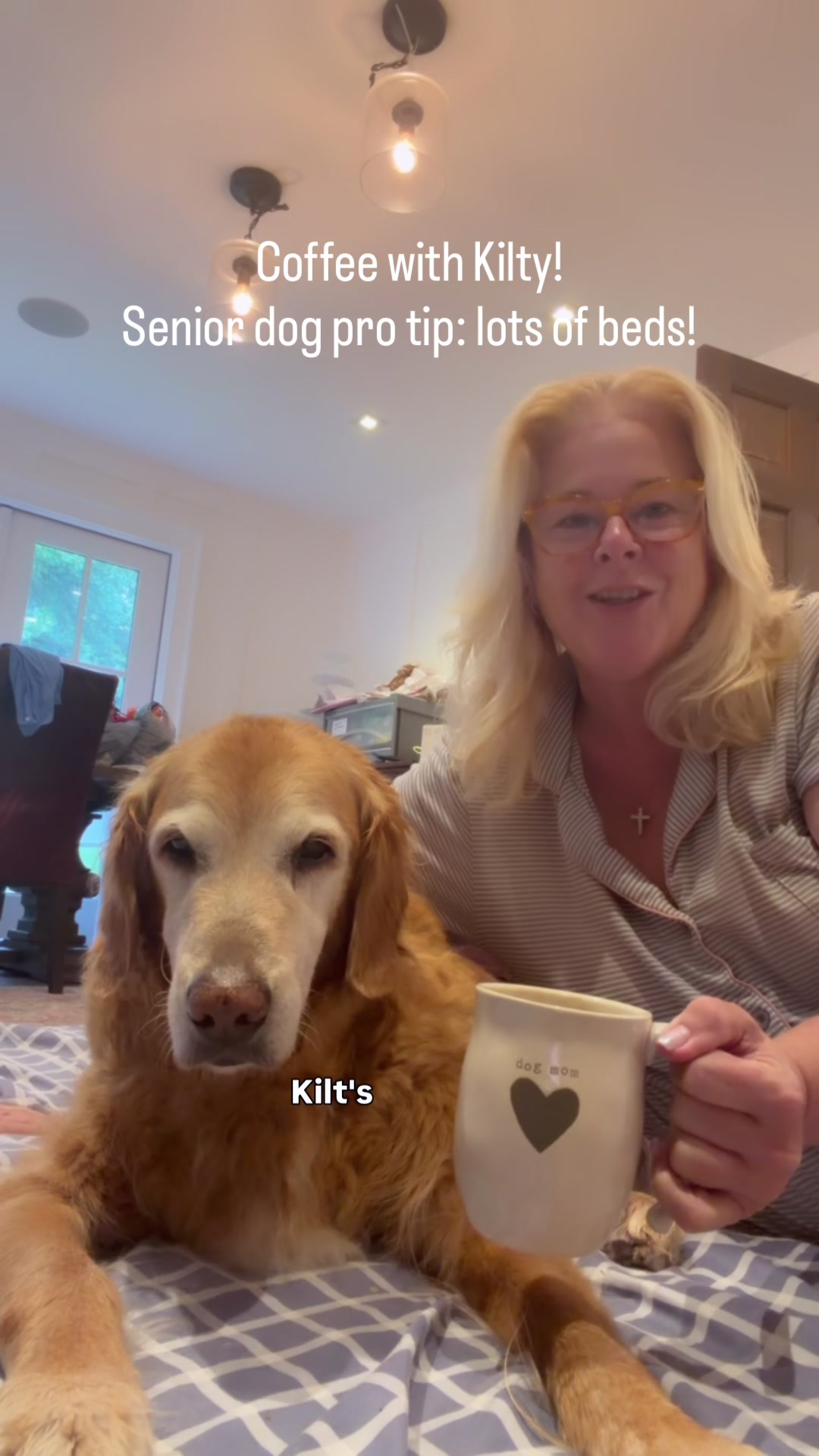 @DogMomisms