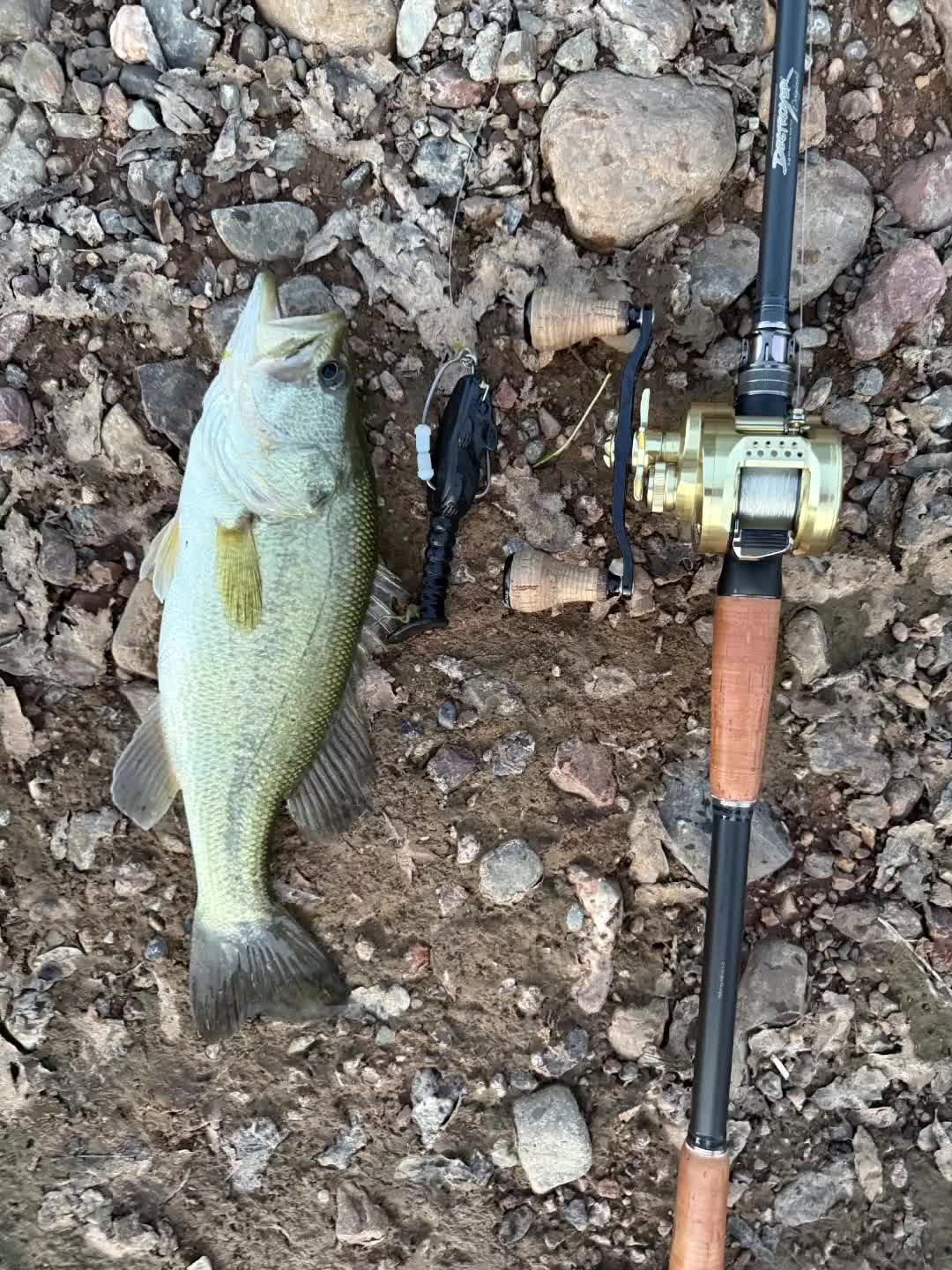 @SacPig Bait Co.