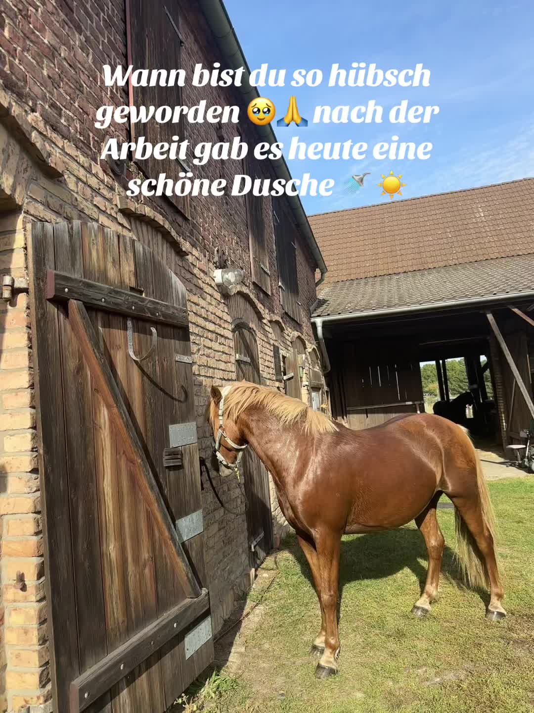 @Riizzaaa ☀️