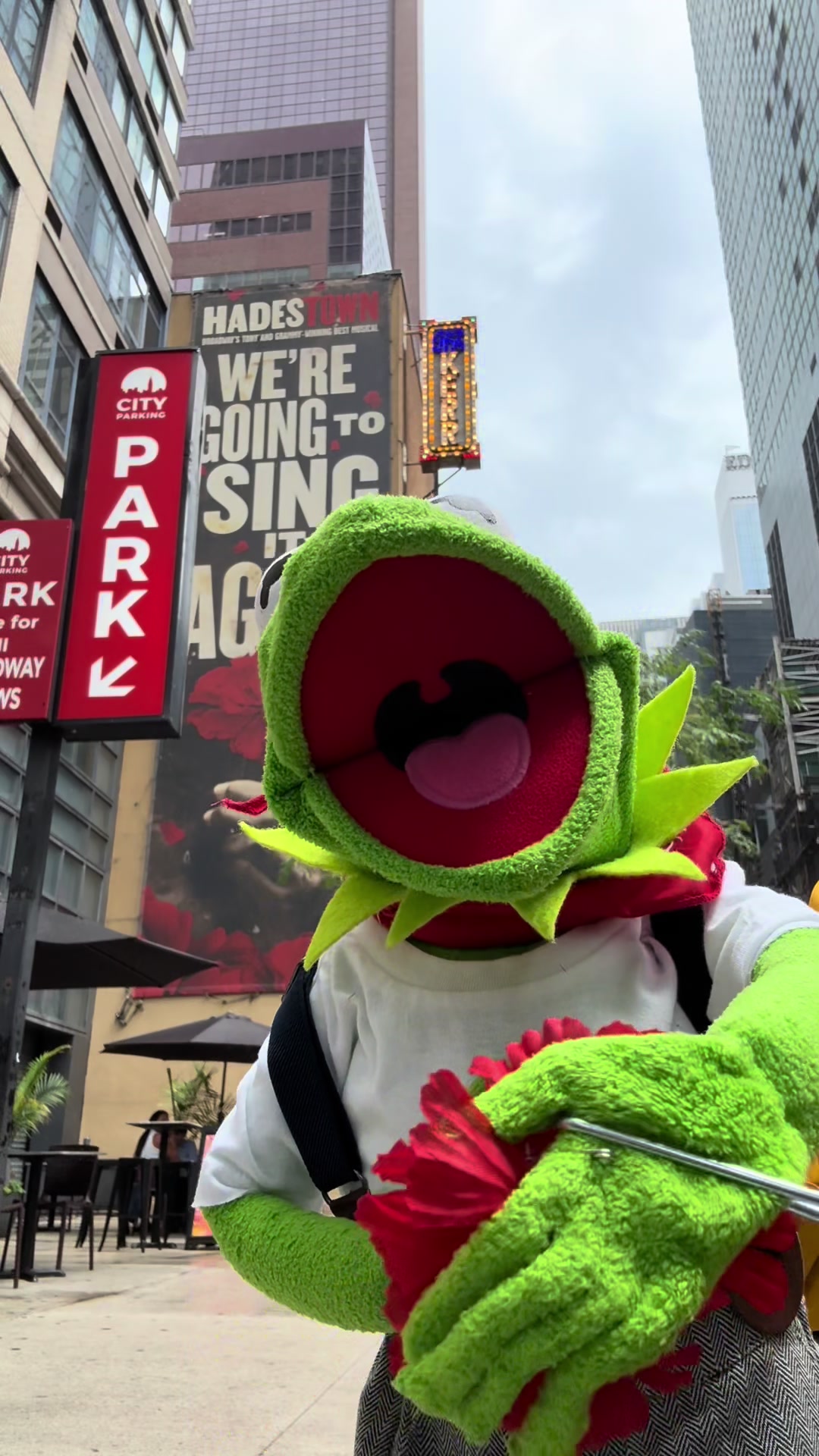 @Kermit MaFrog