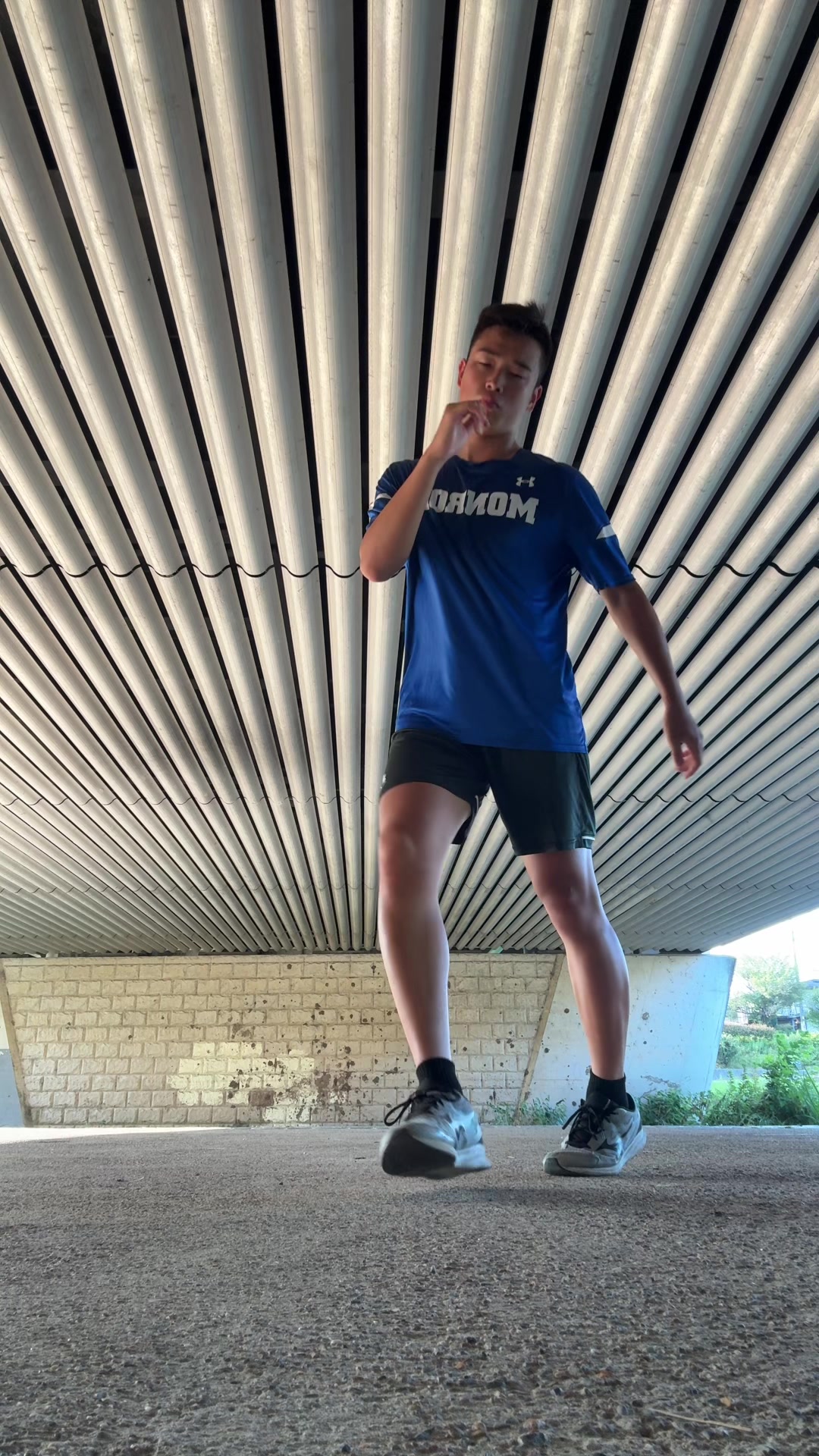 @MASHIMOTO(マシモト)