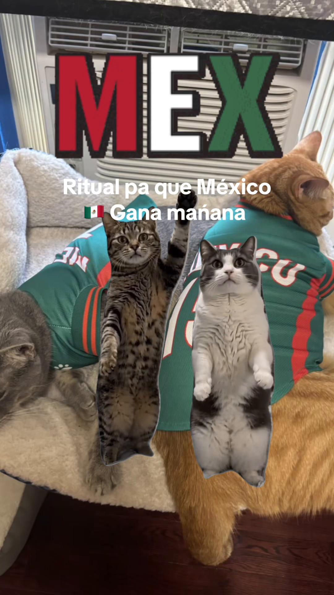 @GT Ruben 🇬🇹🇬🇹