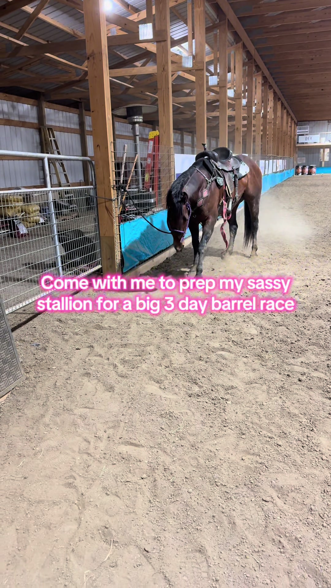 @Living Lucky Quarter Horses