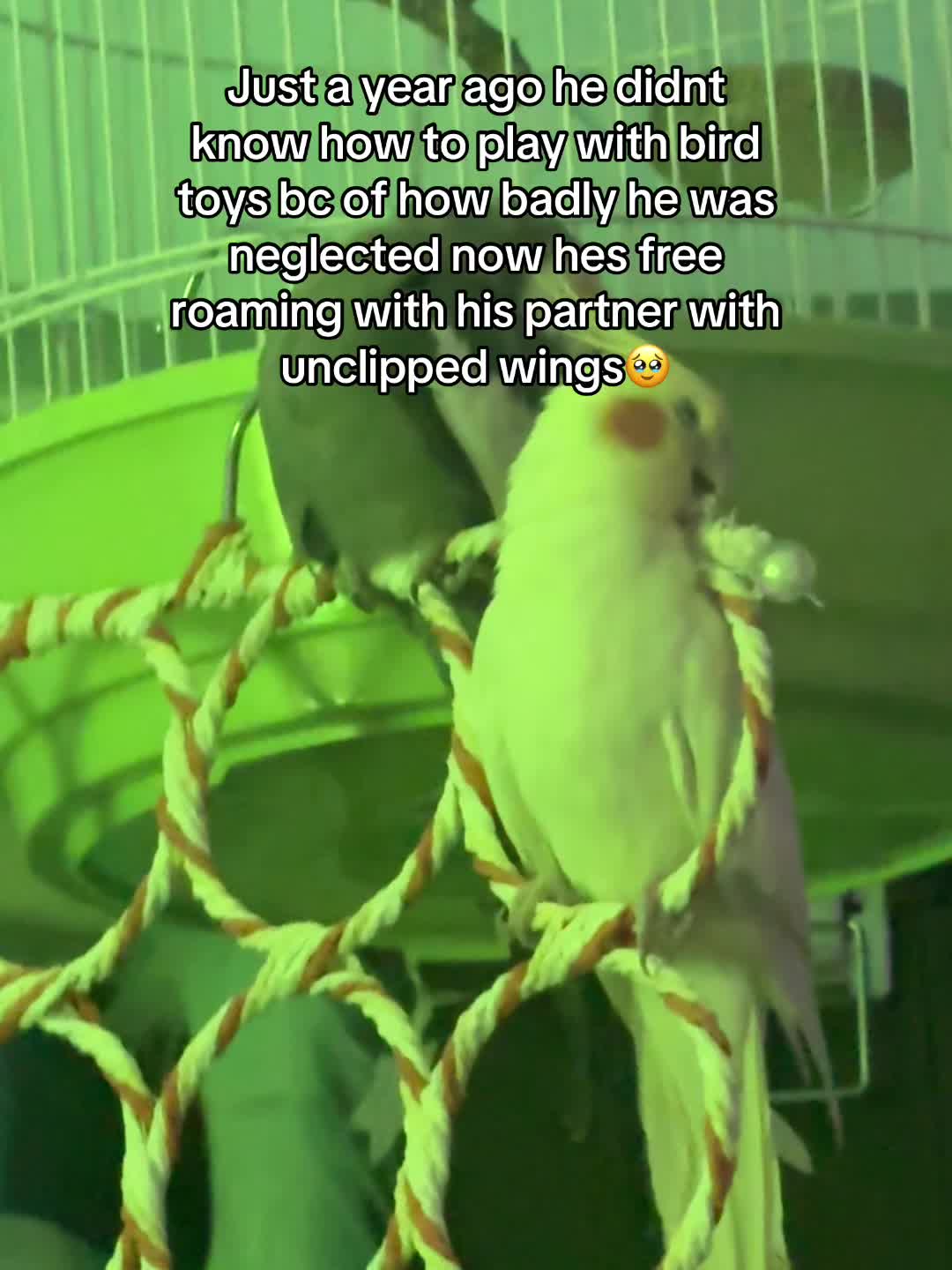 @Zoeyatiel 🍒🎱🫧