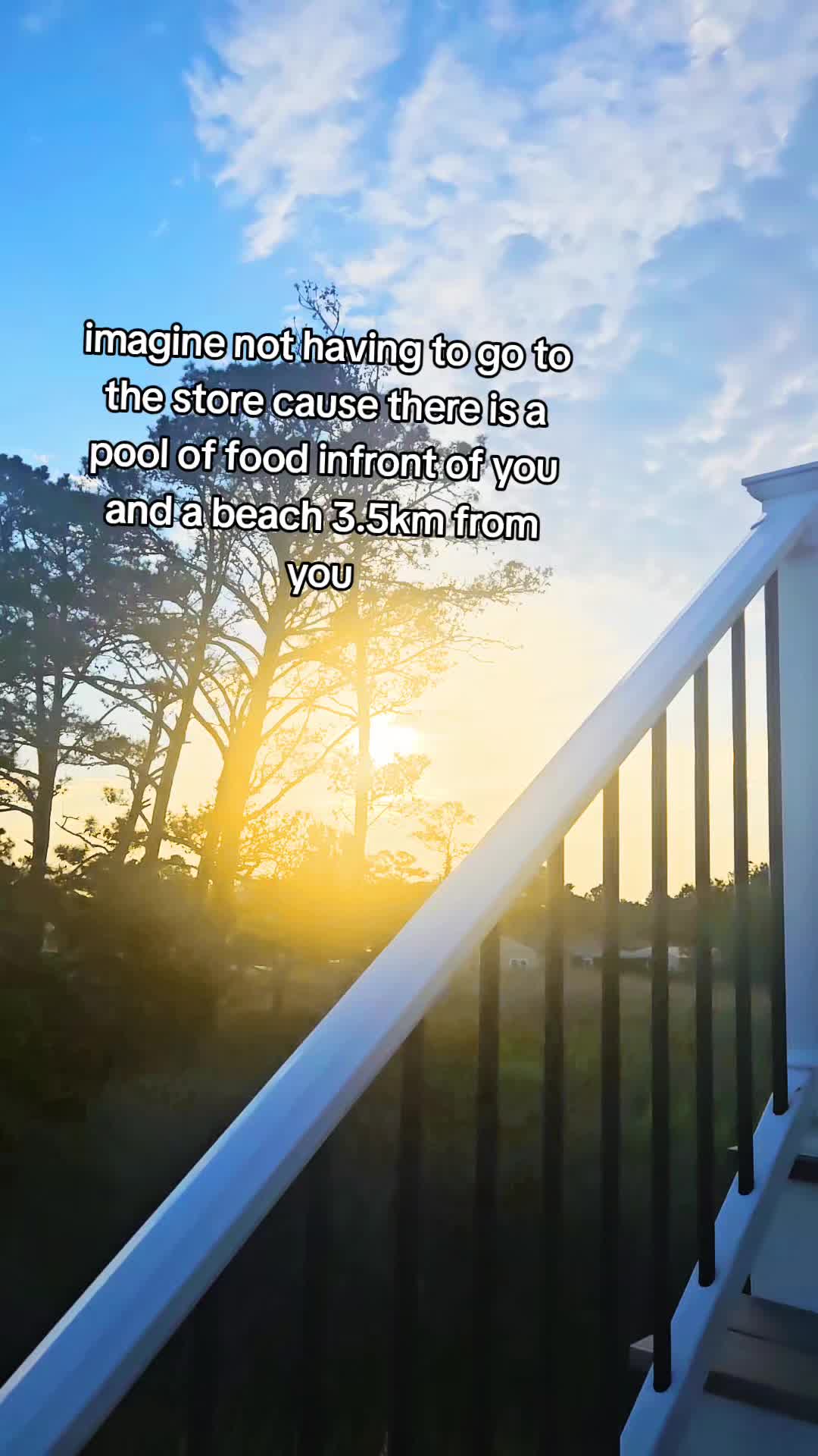 @𝘢𝘲𝘸𝘻𝘰🌲☀️