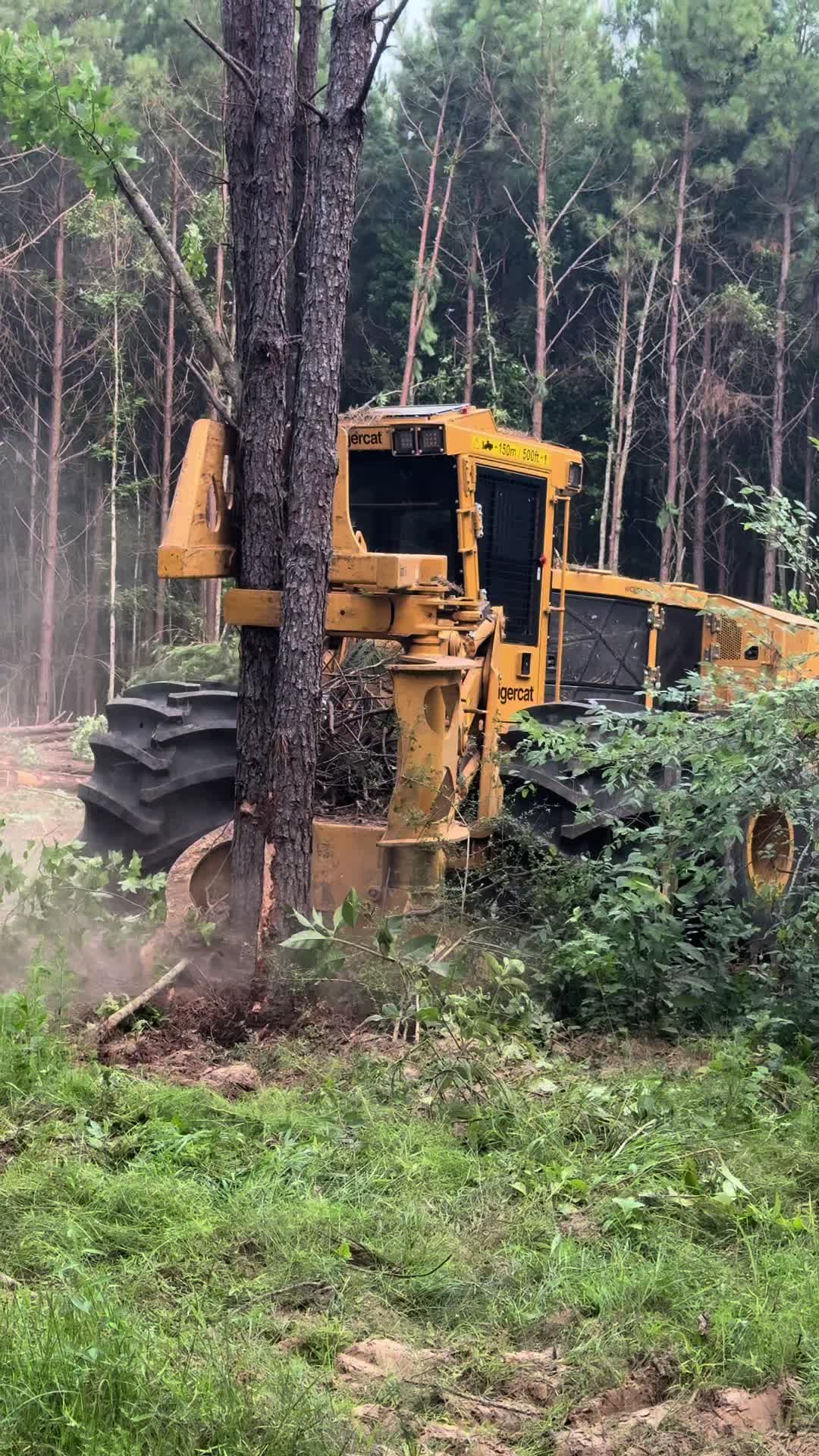 @Superior Forestry Solutions