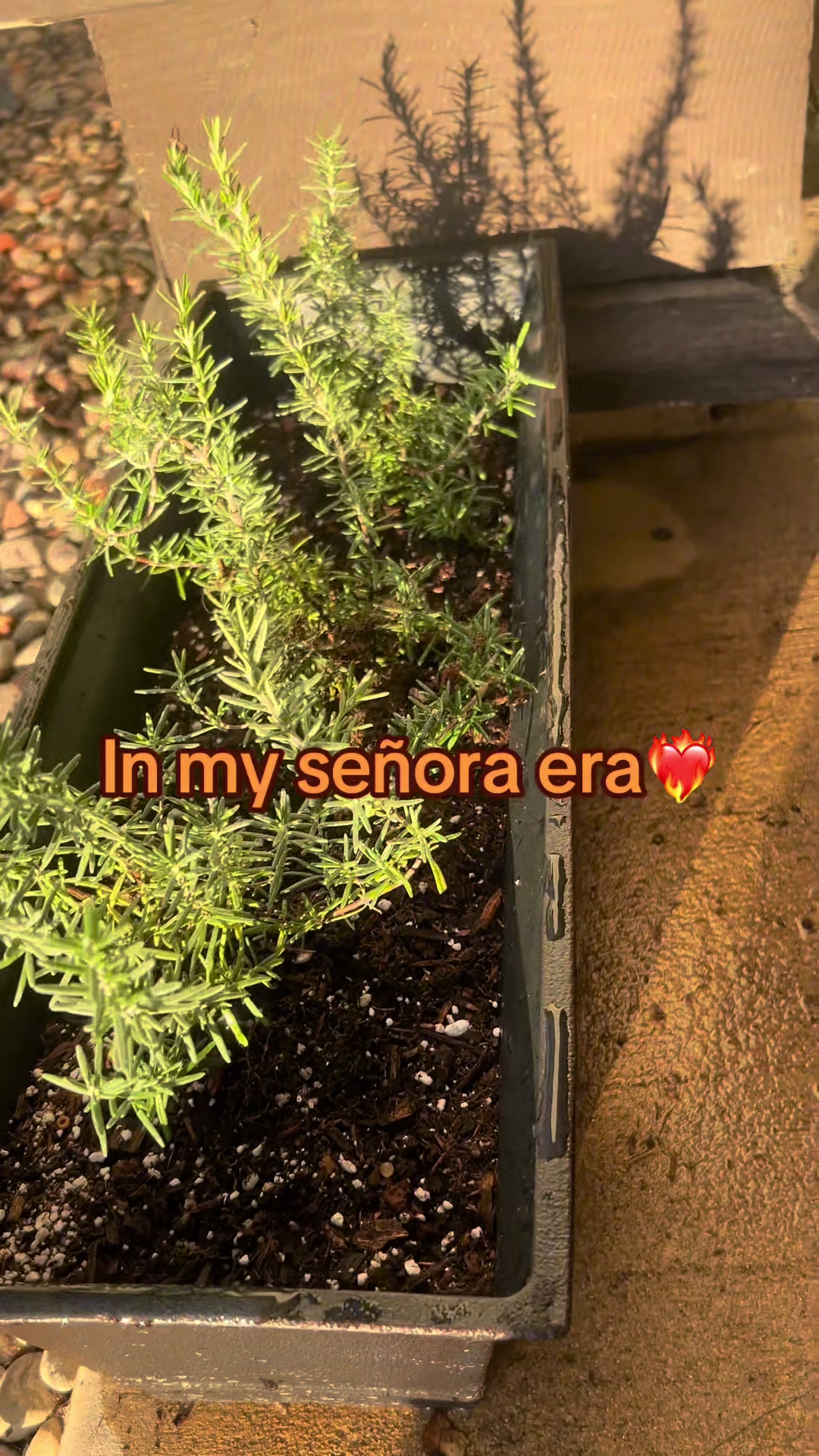 @Elsa Paiz
