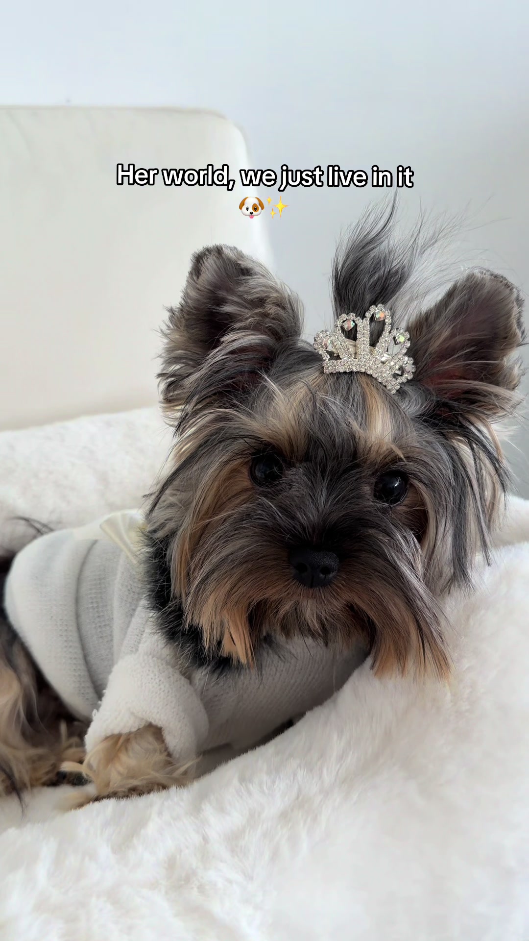 @TeaCups, Puppies & Boutique &reg;️