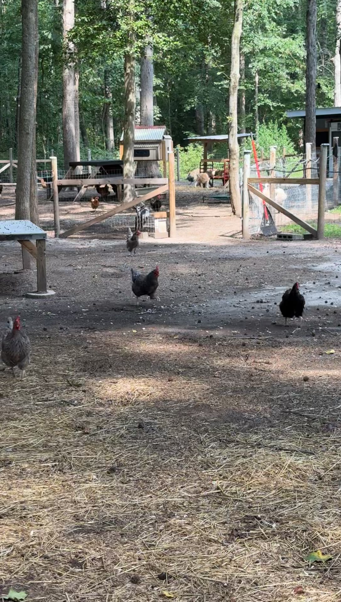 @whiteoakacres