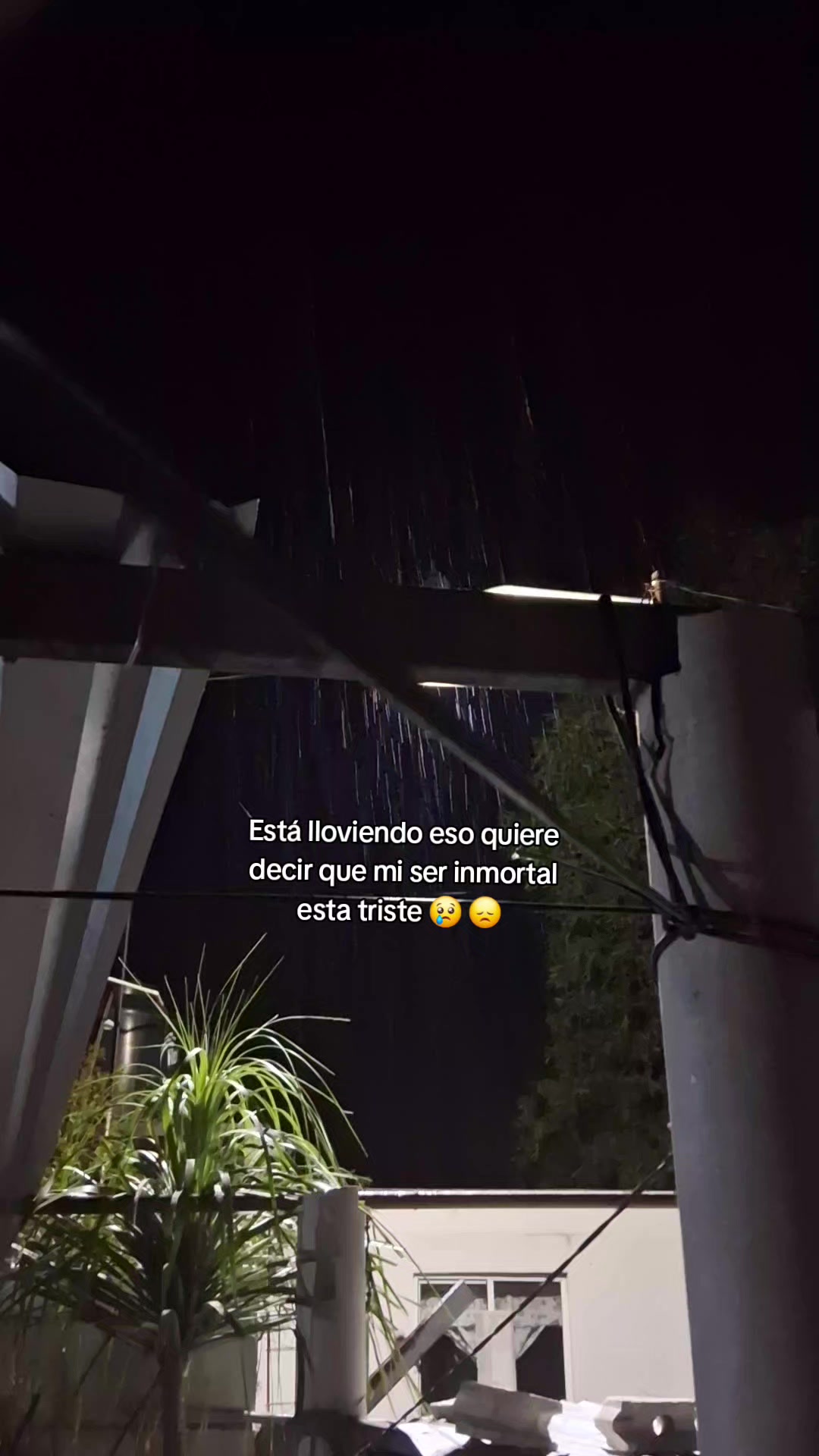 @MingSdL💜🪻