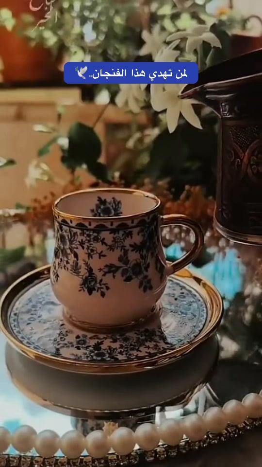 @The Lion 🪽 خاطره في دفتري
