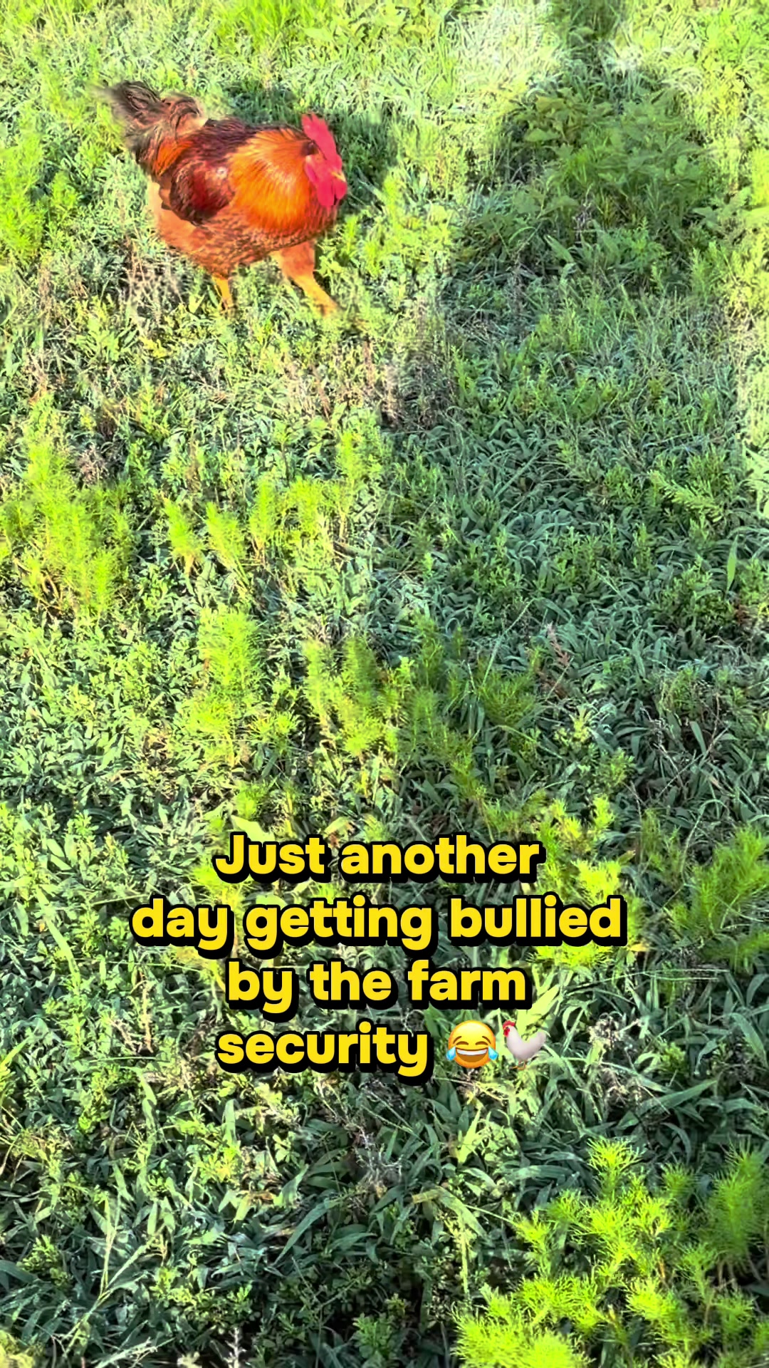 @J S FARMS