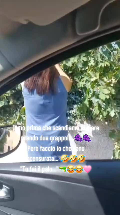 @🩷LaMusica&Amore🩵